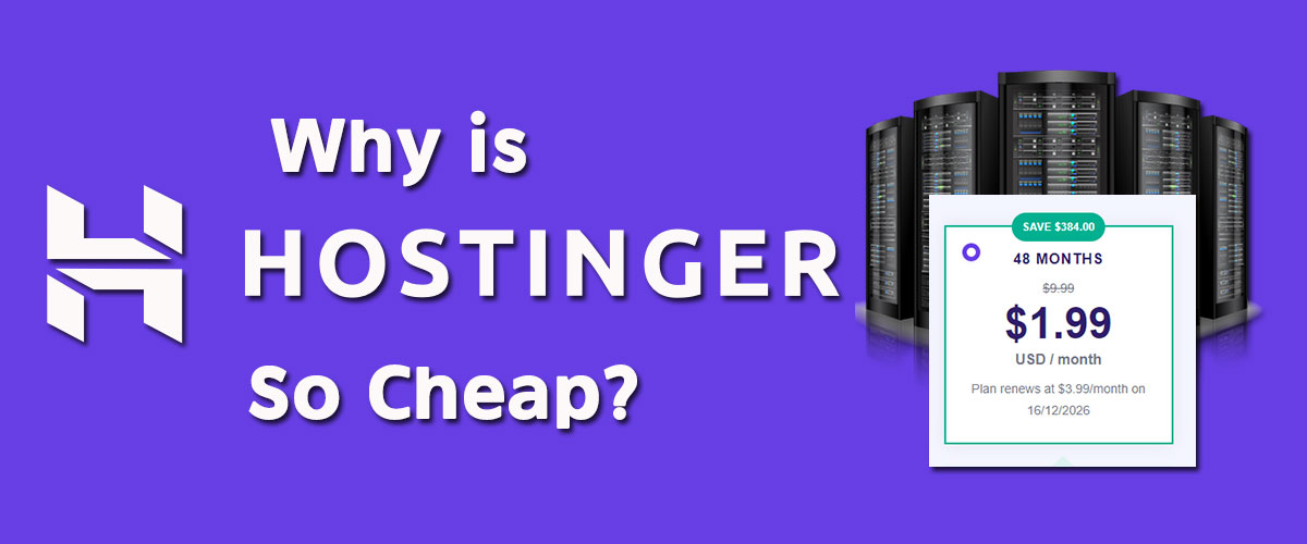Why is Hostinger so Cheap?
