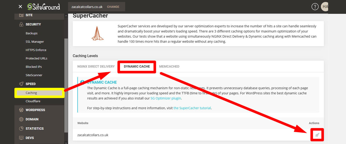 SiteGround Dynamic cache option