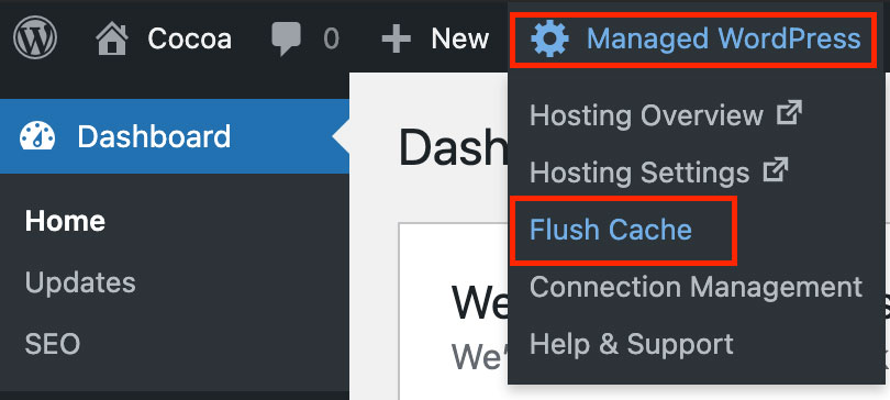 GoDaddy Flush Cache