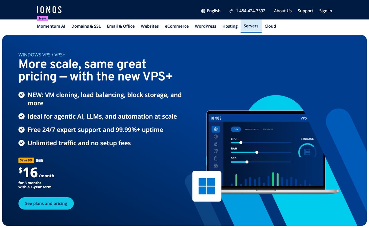 ionos windows vps