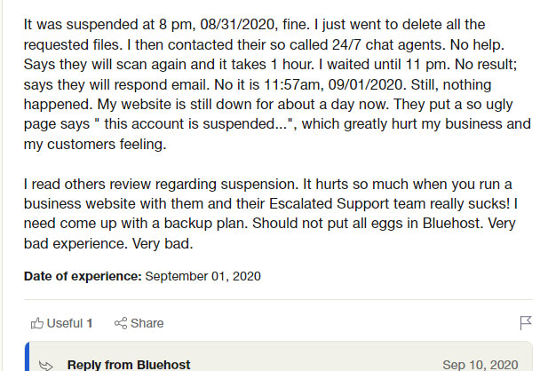 bluehost website downtime and suspension