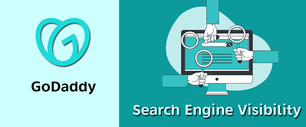 GoDaddy Search Engine Visibility Review